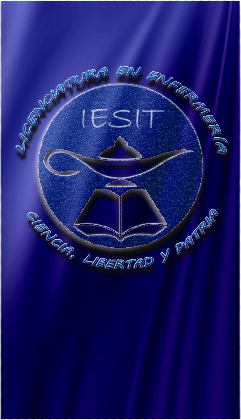 Licenciatura en Enfermería